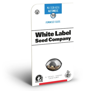 Master kush auto (5) white label seeds