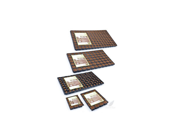 Bandeja dried eazy plug (3,5 x 3,5 x 3 cm) 12 alv hga