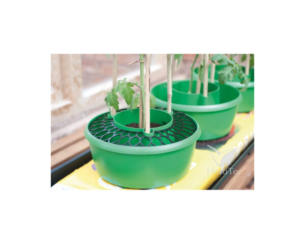 Rejilla plant halos (3 uds) garland - Imagen 2