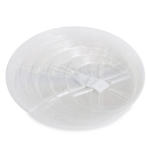Plato redondo plástico transparente 20 cm