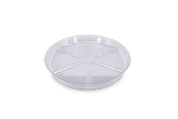 Plato redondo plástico transparente 20 cm - Imagen 4