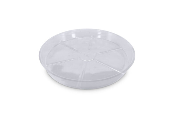 Plato redondo plástico transparente 20 cm - Imagen 5