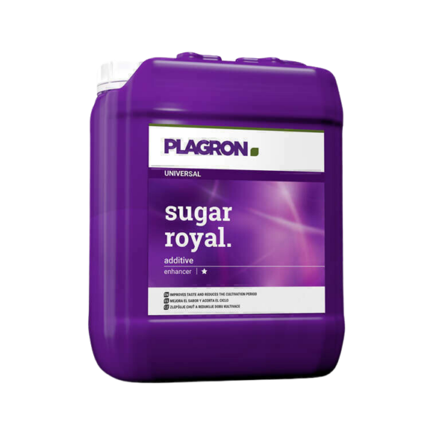 Sugar royal 20 l plagron