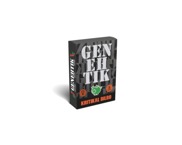 Kritikal bilbo (1) 100% genehtik seeds haziak