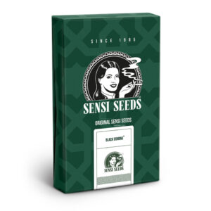 Black domina regular (10) sensi seeds