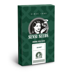 Jack herer regular (10) sensi seeds