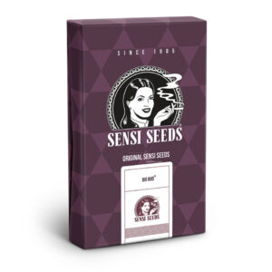 Big bud (3) 100% sensi seeds