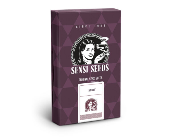 Big bud (3) 100% sensi seeds