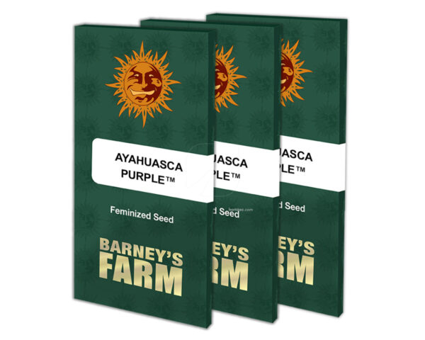 Ayahuasca purple (5) 100% barney's farm seeds