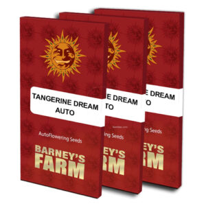 Tangerine dream auto (5) barney's farm seeds