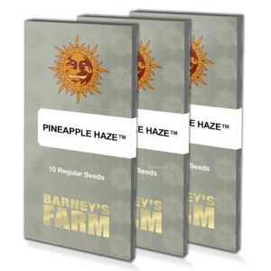 Pineapple haze (10) regular barney farm seeds