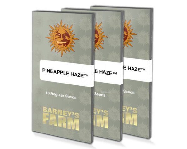 Pineapple haze (10) regular barney farm seeds