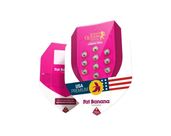 Fat banana (1) 100% royal queen seeds