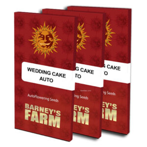 Wedding cake auto (1) barney´s farm seeds