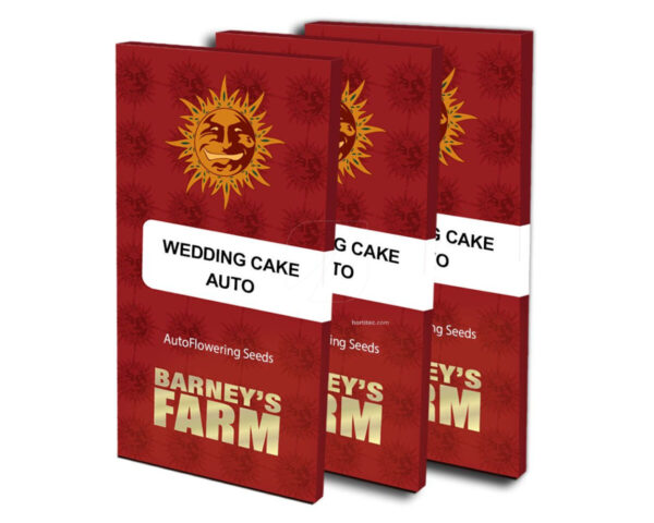 Wedding cake auto (1) barney´s farm seeds