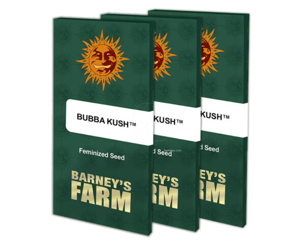 Bubba kush (1) 100% barneys farm