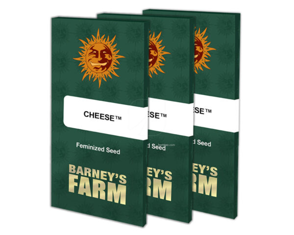 Cheese  (1) 100%  barneys farm