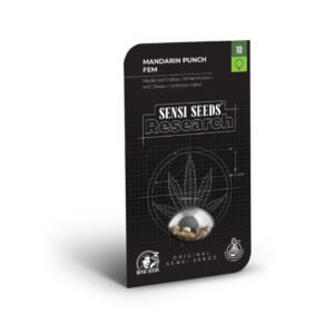 Mandarin punch (1) 100% sensi seeds