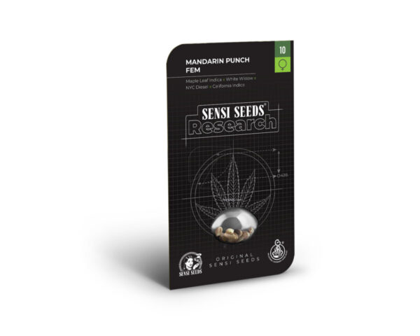 Mandarin punch (1) 100% sensi seeds