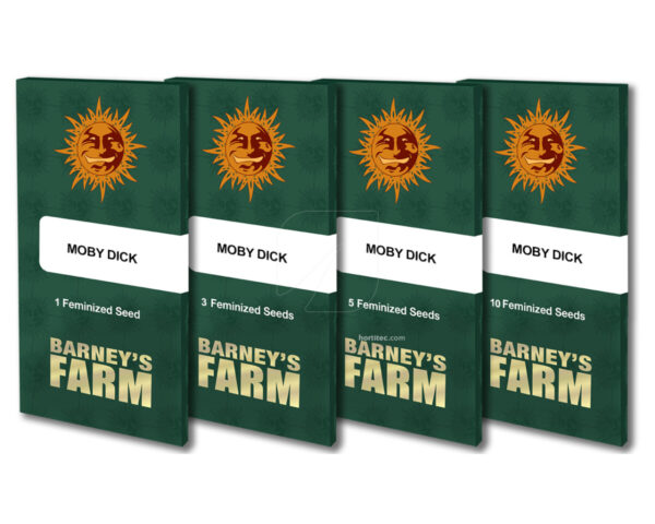 Moby dick (1) 100% barneys farm