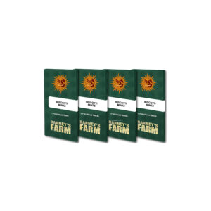 Biscotti mintz (1) 100% barneys farm