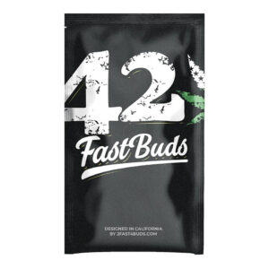 Bruce banner auto (10) fastbuds