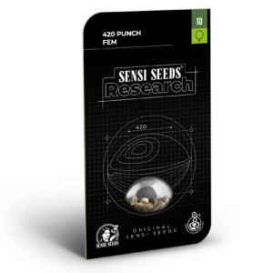 420 punch feminizada (1) sensi seeds