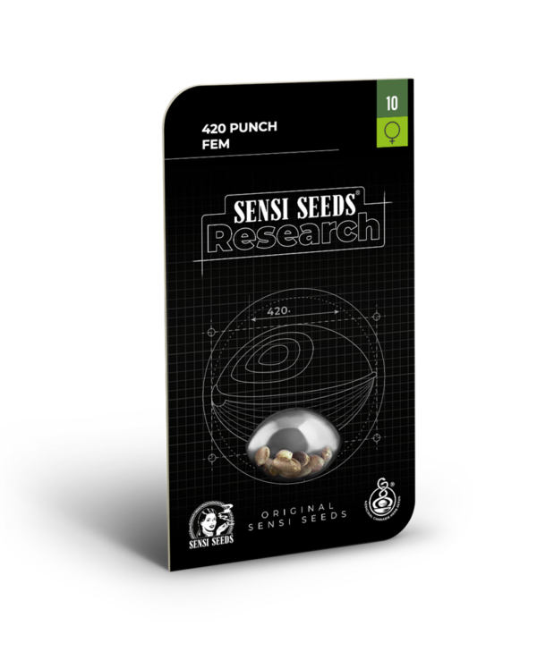 420 punch feminizada (1) sensi seeds