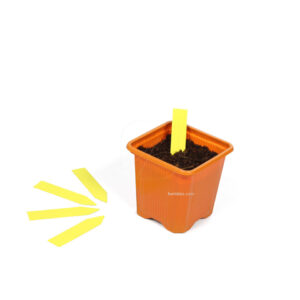 Etiqueta picar amarilla 1.3 x 6 cm (500 uds)