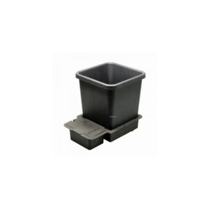 Modulo 1 pot