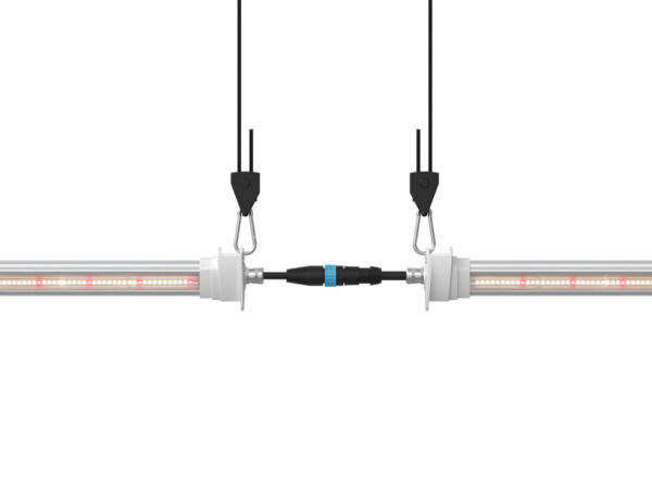 Inter canopy led (2 uds.) solux - Imagen 4