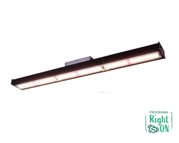 Solux kappa 150 w - Imagen 2