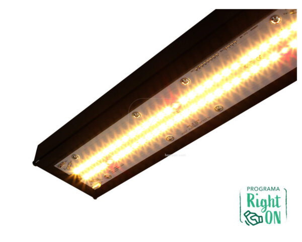 Solux kappa 150 w - Imagen 3