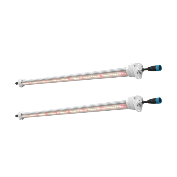 Inter canopy led (2 uds.) solux - Imagen 2