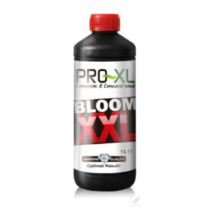 Bloom xxl 100 ml pro-xl