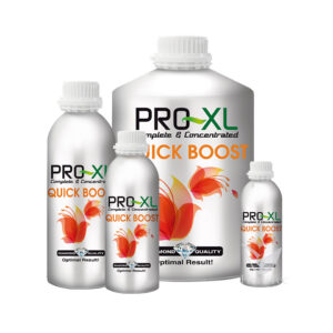 Quick boost 100 ml pro-xl