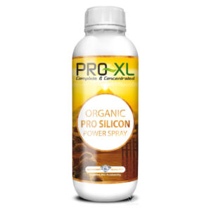 Organic pro silicon power 1 l pro-xl