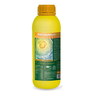 Bachumus evolution-f 1 l trabe