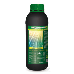 Bachumus evolution-c 0,5 l trabe