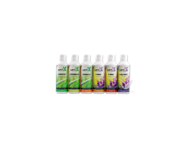 Indoor set pro aptus - Imagen 2