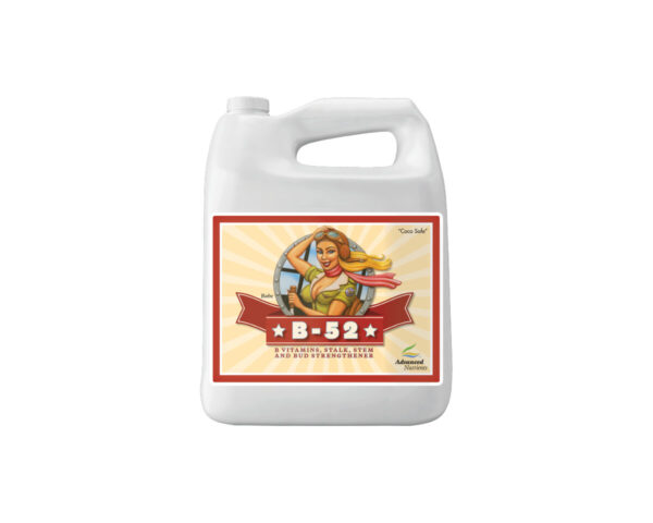 B-52 1 l advanced nutrients - Imagen 2