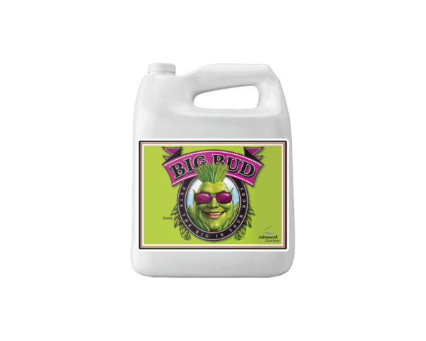 Big bud 250 ml advanced nutrients - Imagen 3