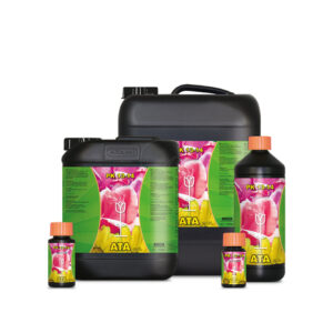 Pk 13-14 1 l ata