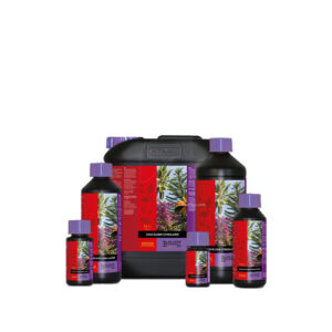 Estimulador floracion coco 500 ml  b´cuzz