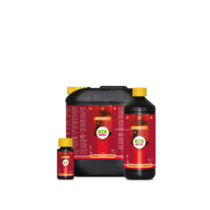 Flavor 1 l ata nrg