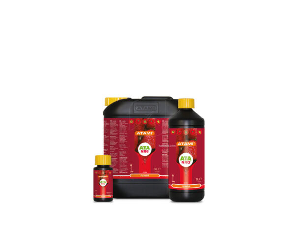 Flavor 1 l ata nrg