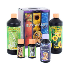 Ata/terra bloombastic box atami