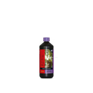 Booster coco uni 1 l b´cuzz