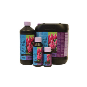 Blossom builder 100 ml  b´cuzz