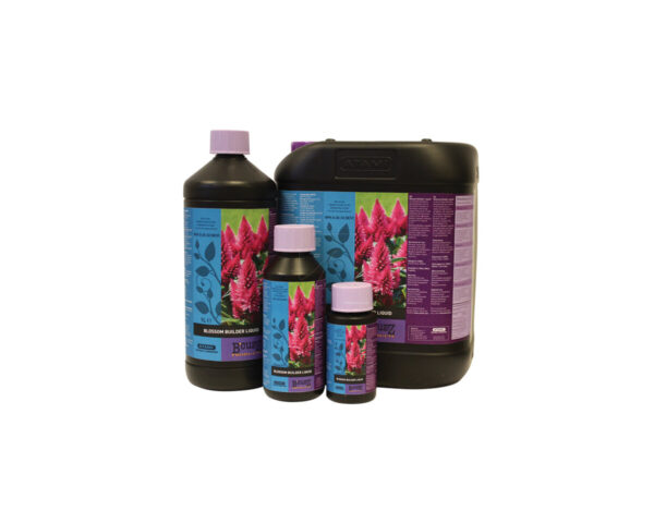 Blossom builder 100 ml  b´cuzz